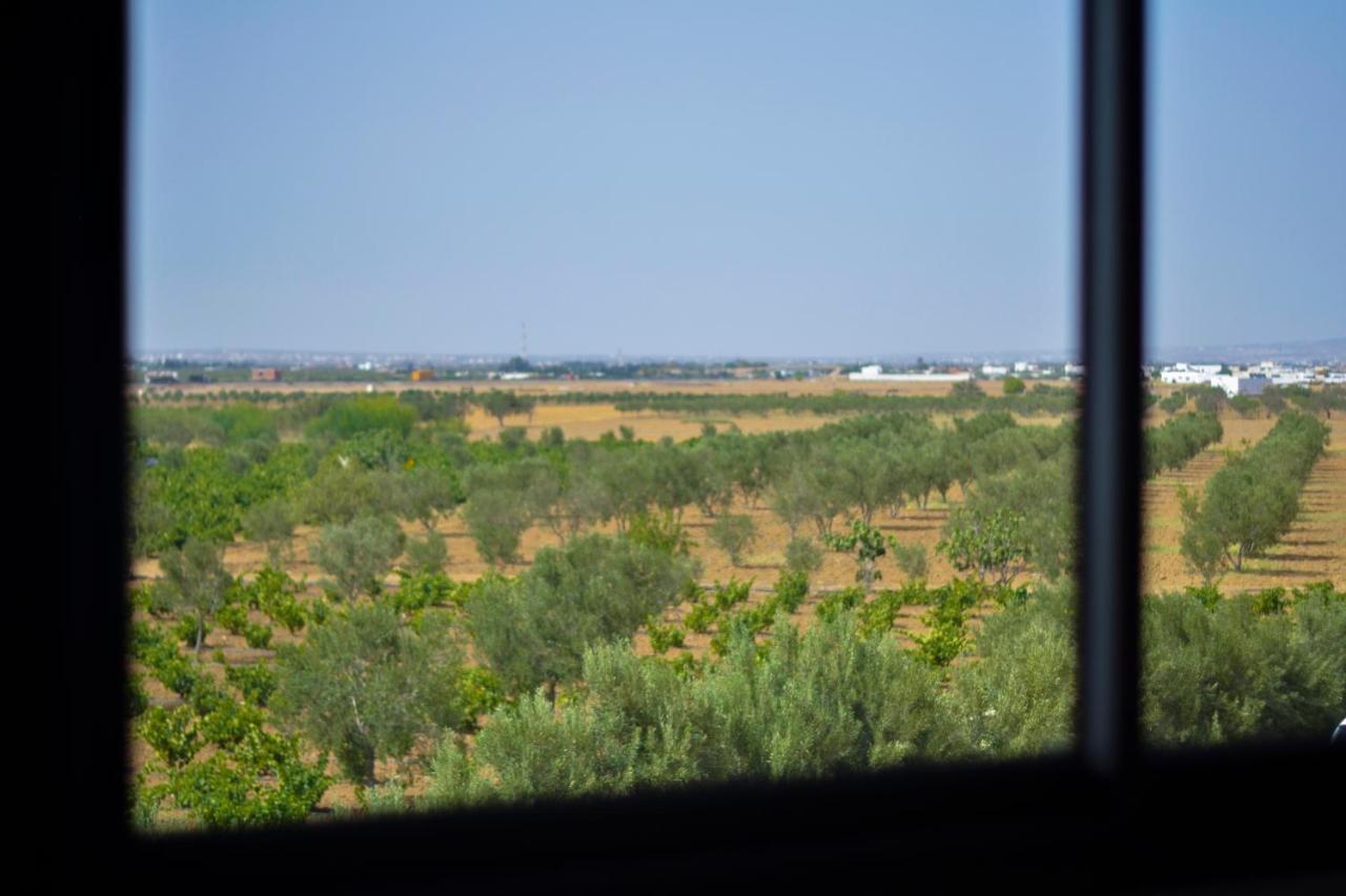 Villa Olivia, Yasmine Hammamet, Bouficha エクステリア 写真