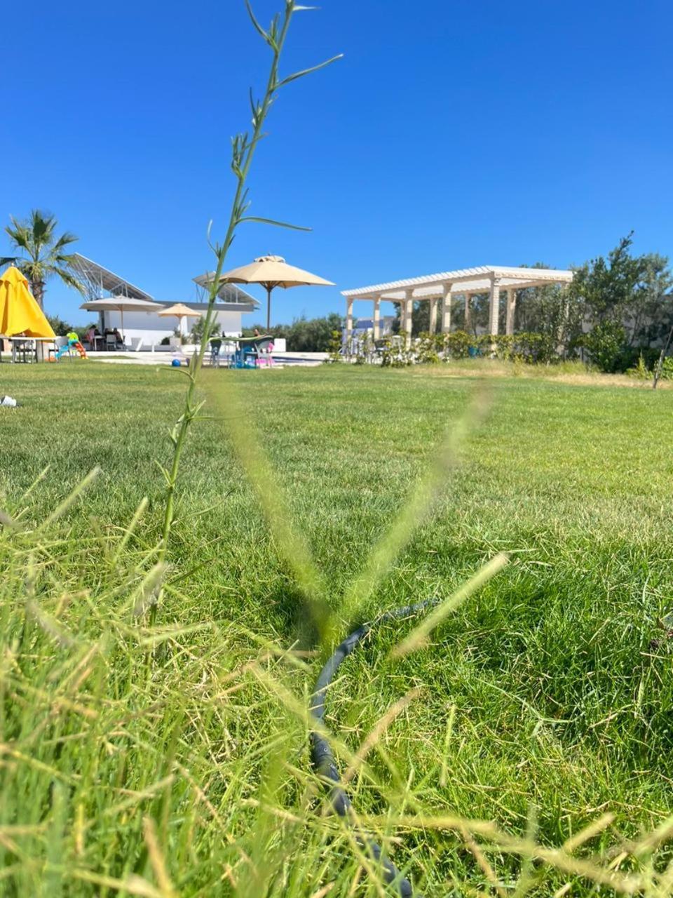 Villa Olivia, Yasmine Hammamet, Bouficha エクステリア 写真