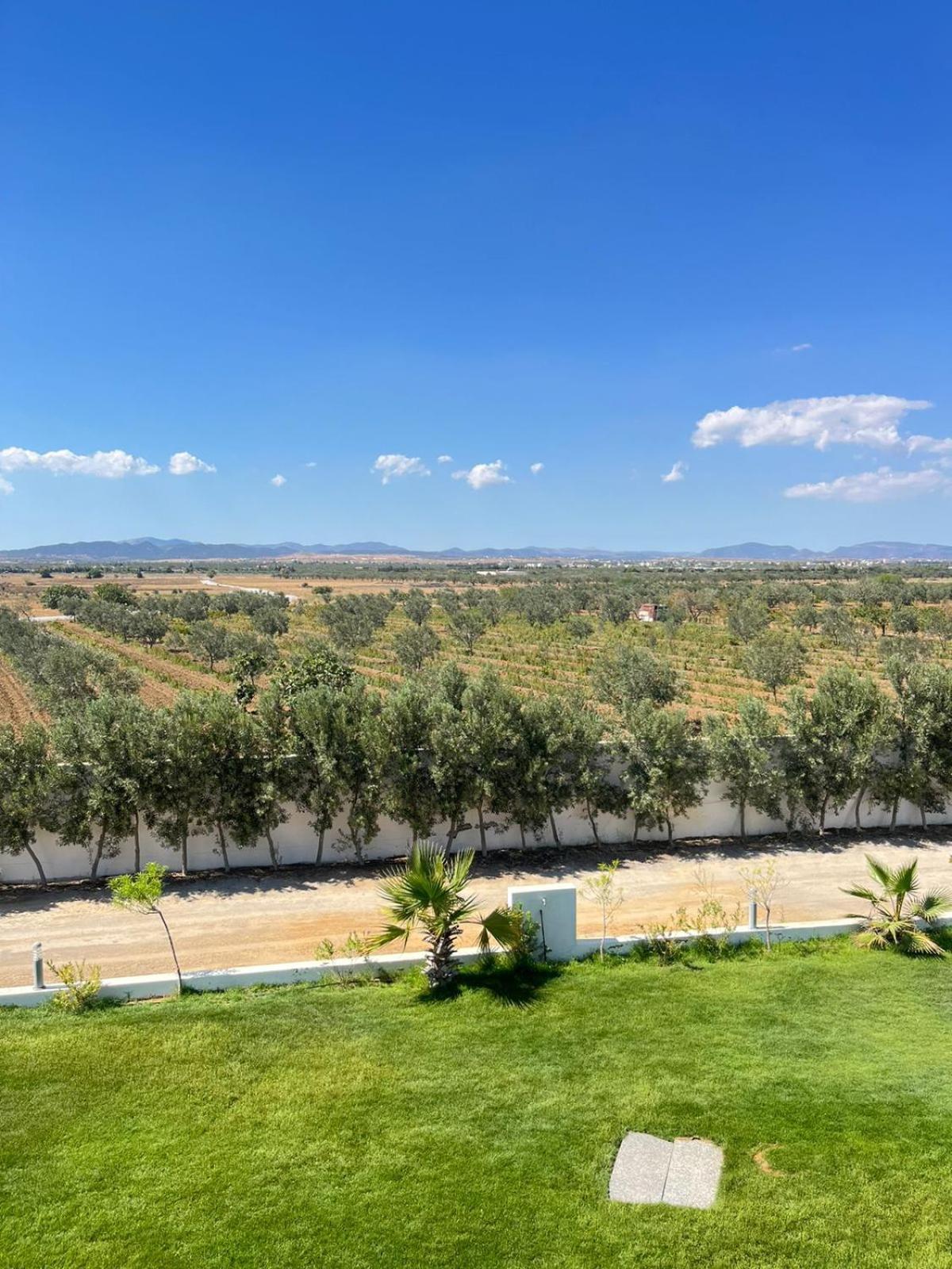 Villa Olivia, Yasmine Hammamet, Bouficha エクステリア 写真